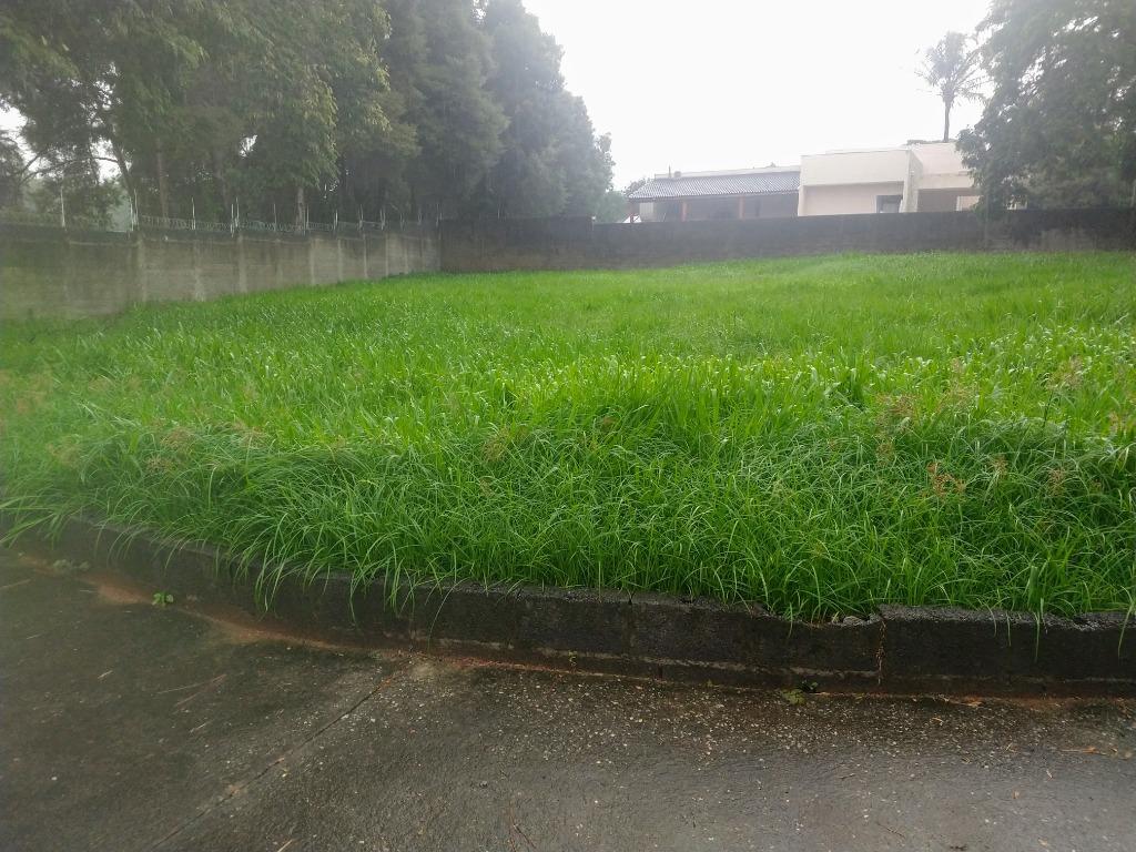 FOTO0 - 1