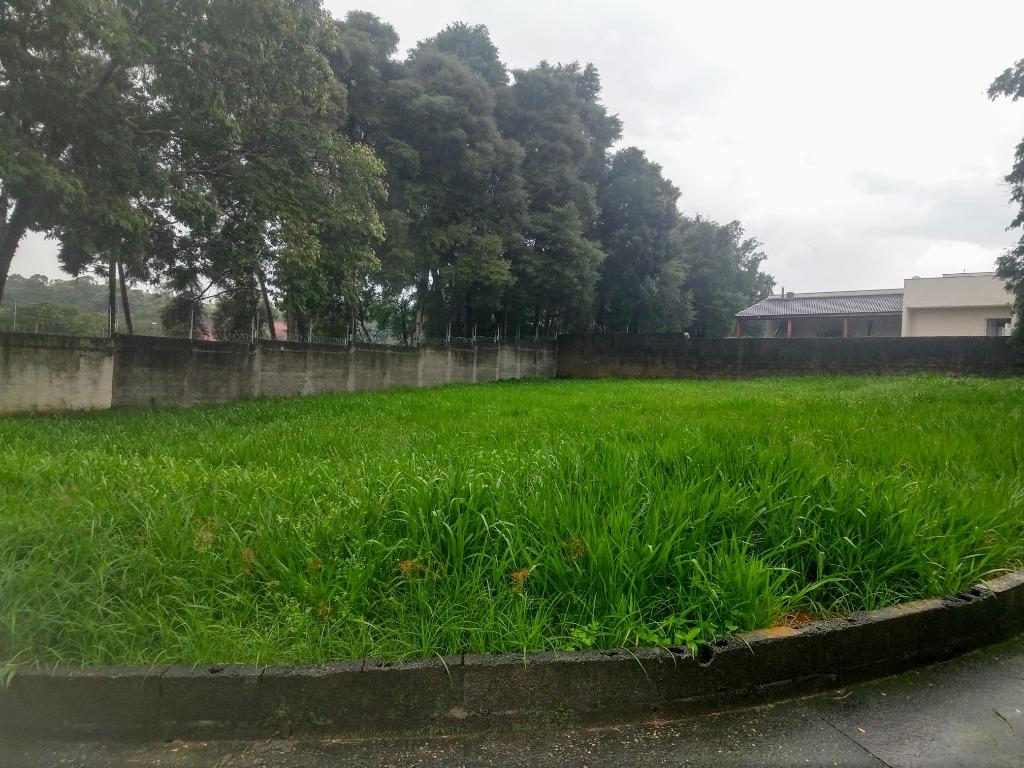 FOTO4 - 5