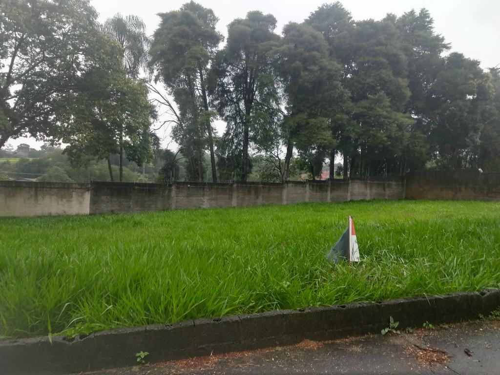 FOTO5 - 6