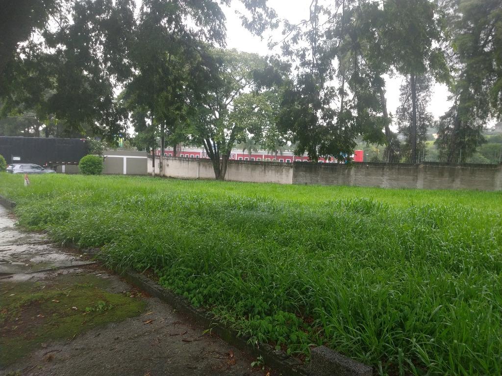 FOTO6 - 7