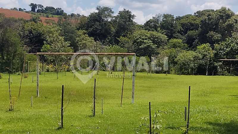 Campo - 9