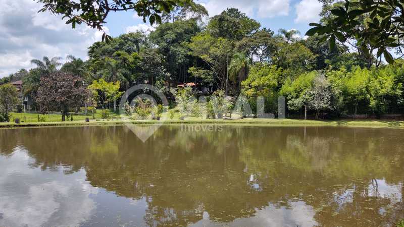 Lago - 9