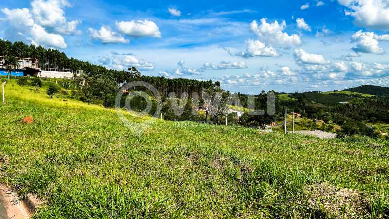 TERRENO-IMOVEL-VENDA - 4