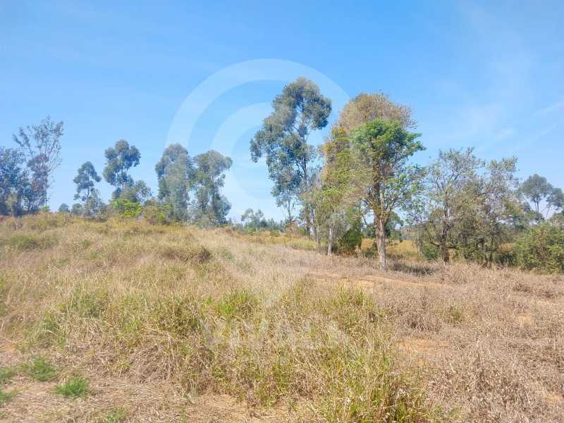 Terreno-Venda - 5