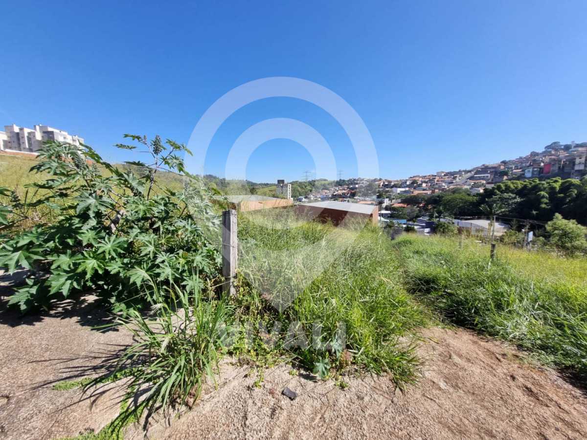 Lote 20 3 - 3