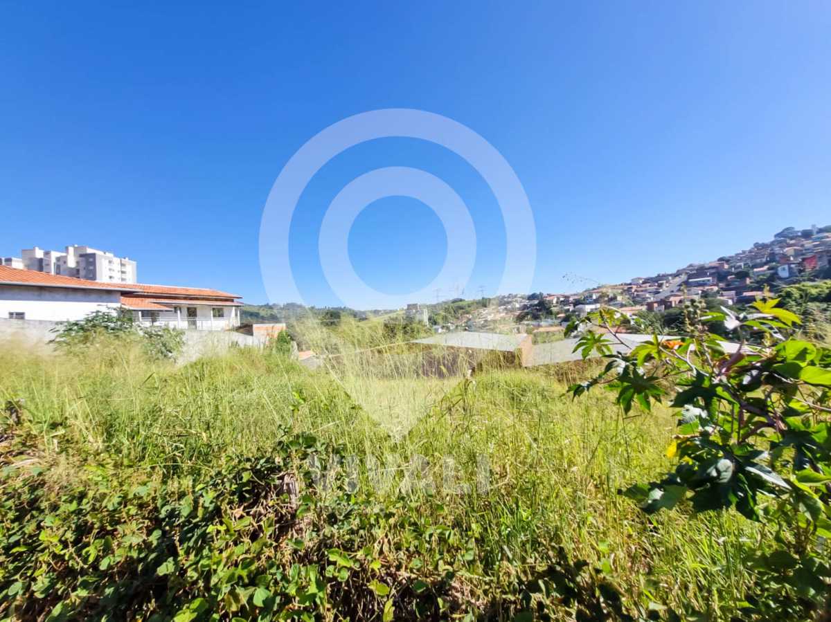 Lote 21 1 - 3