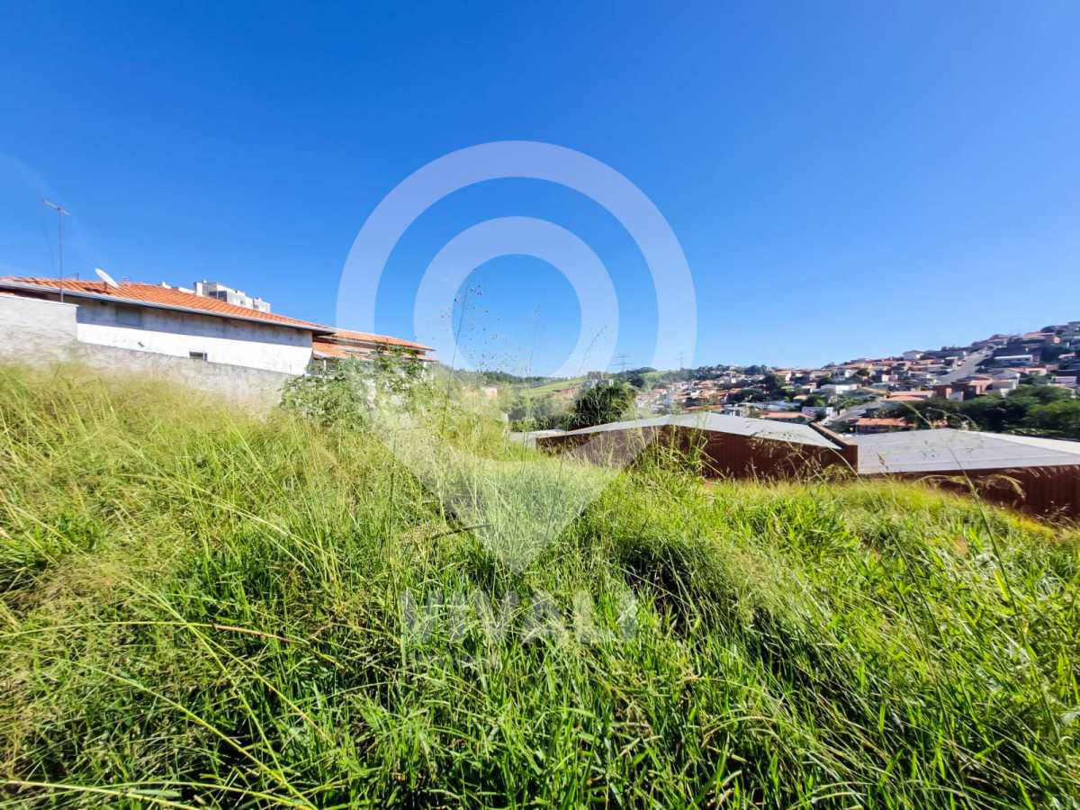 Lote 21 3 - 4