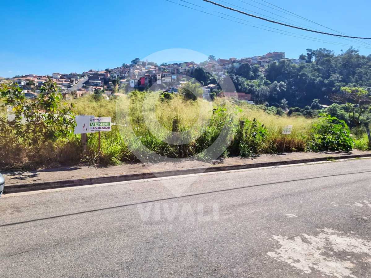 Lote 23 4 - 4