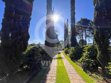 BOA LOCALIZAÇÃO - Sítio 2 Alqueires 2 Casas, 20mil pés de café, 40mil de renda/mês. Porteira fechada. - VISI60003