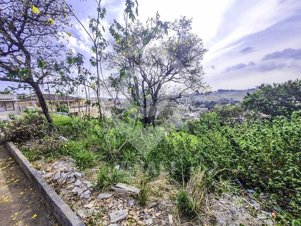 Lote 6_ - 5