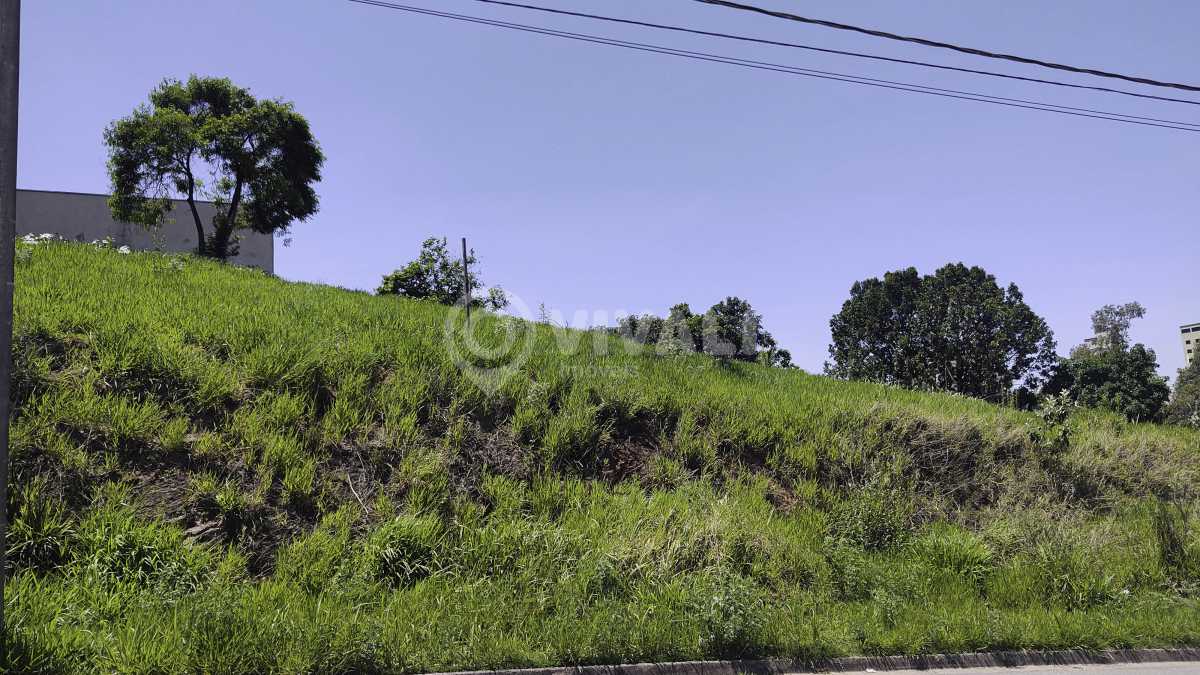 IMG_20231023_105756631 copiar - 4