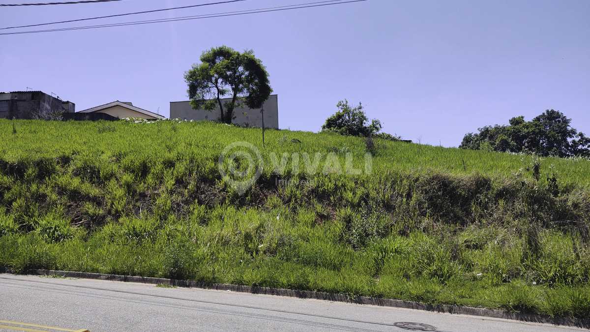 IMG_20231023_105811829 copiar - 3