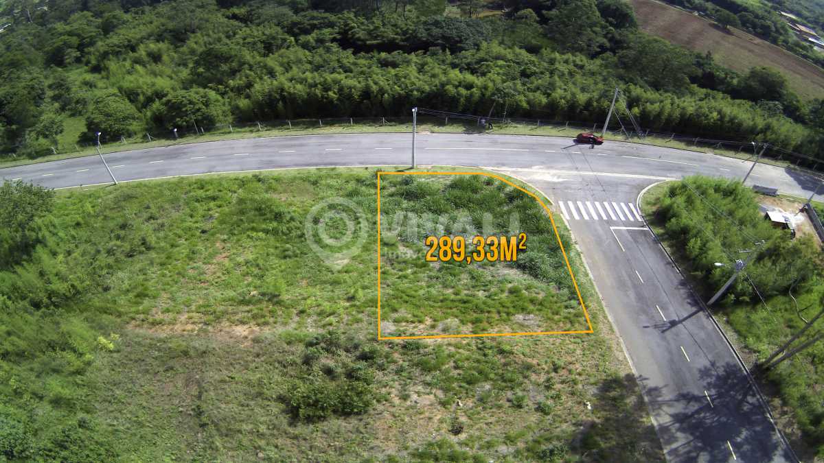 IMG_20231101_14200231 copiar - 2