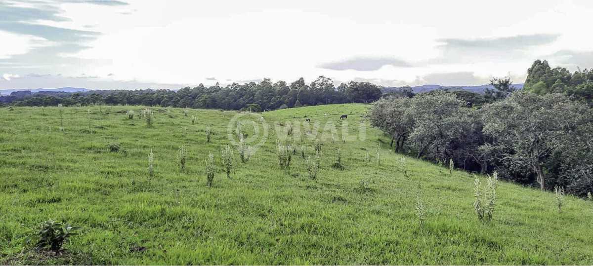 Digitalizado_20231212-1428-13 - 8