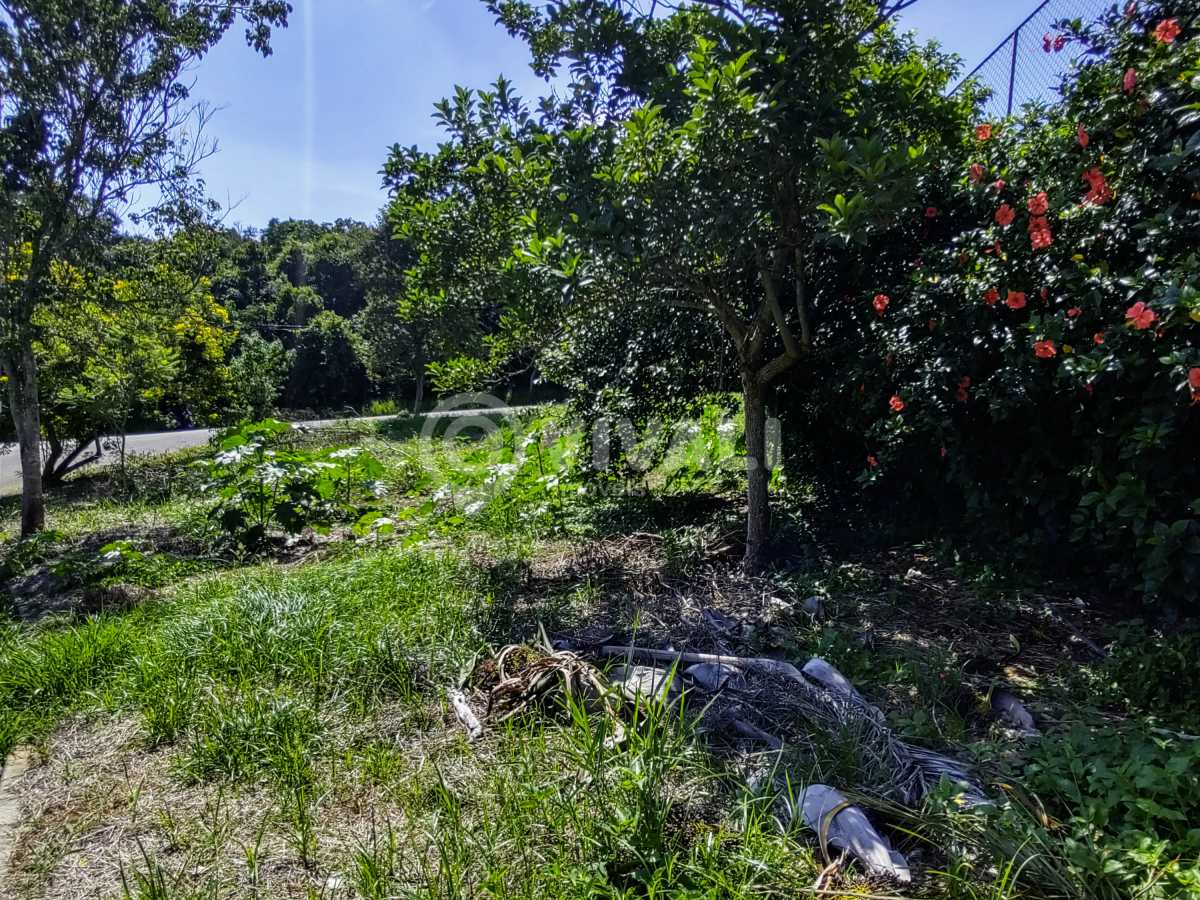 IMG_20240319_102710193_HDR - 5