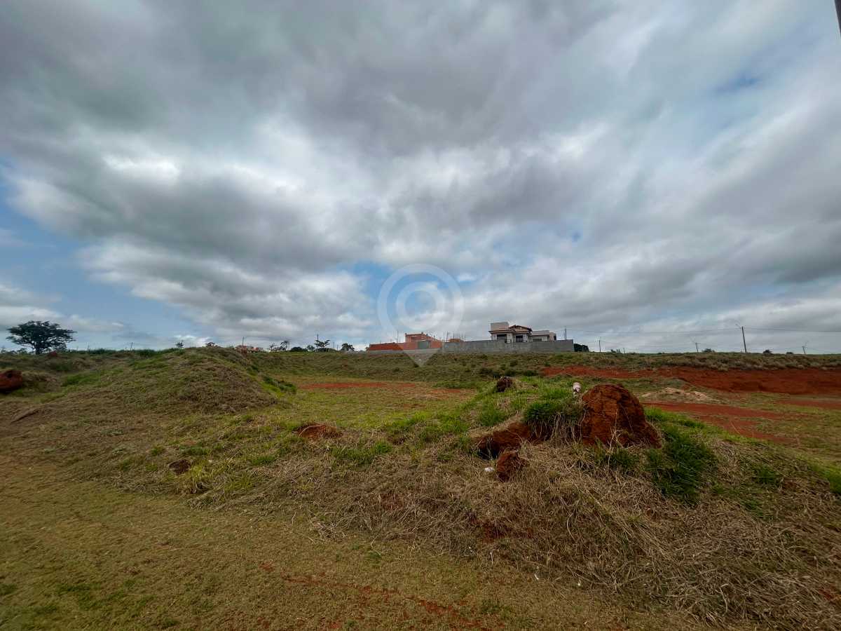 WhatsApp Image 2025-10-08 at 1 - 2