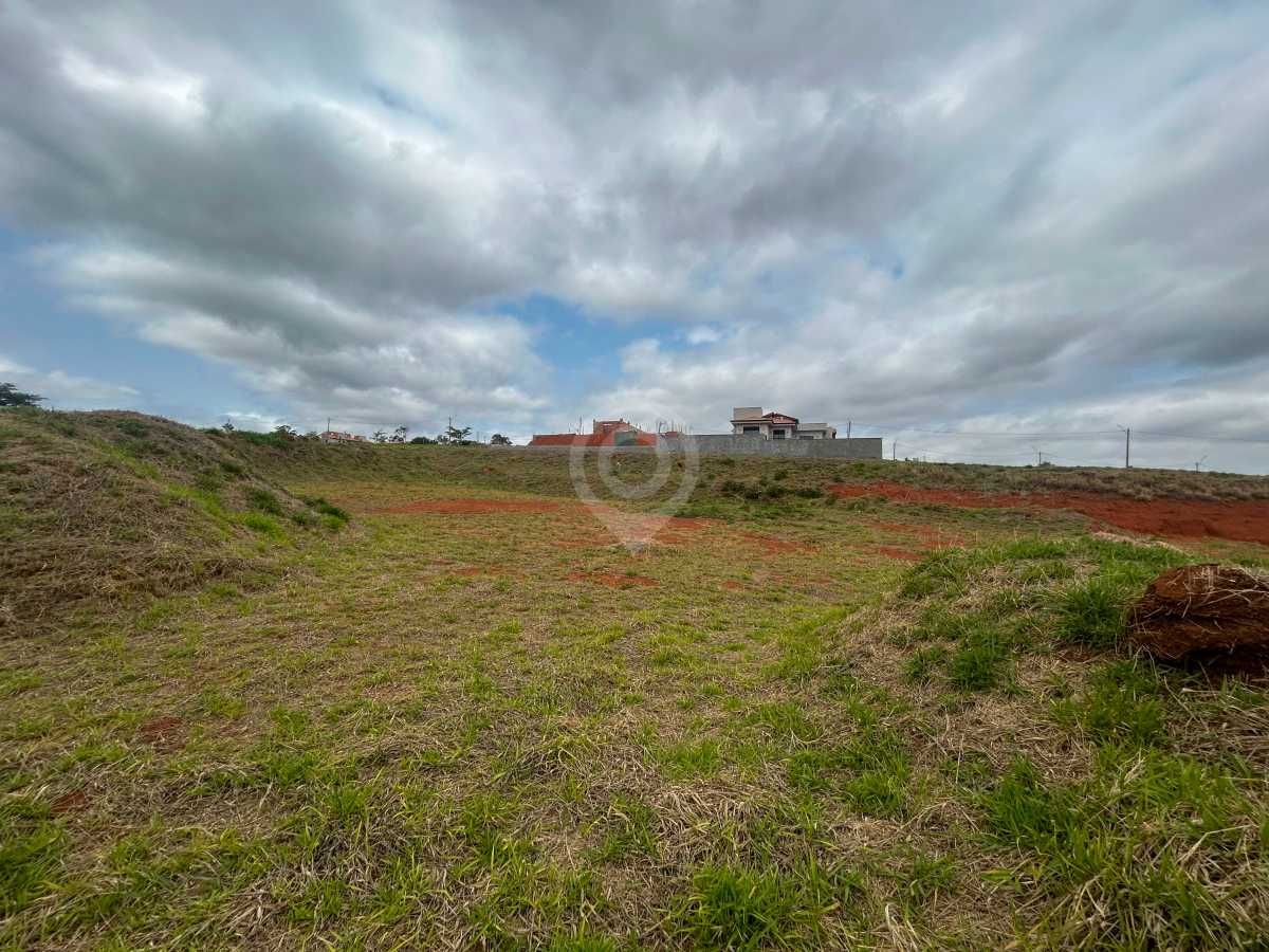 WhatsApp Image 2025-10-08 at 1 - 3