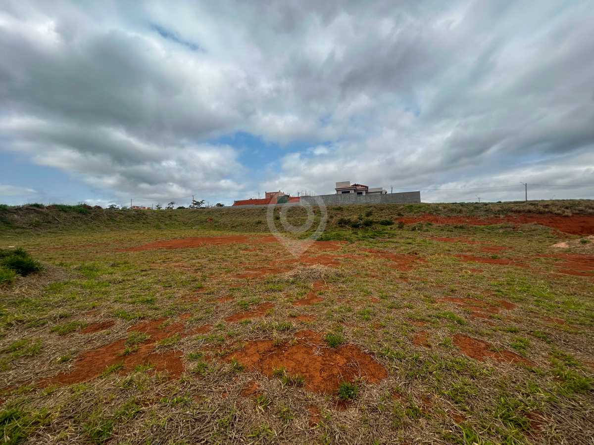 WhatsApp Image 2025-10-08 at 1 - 4