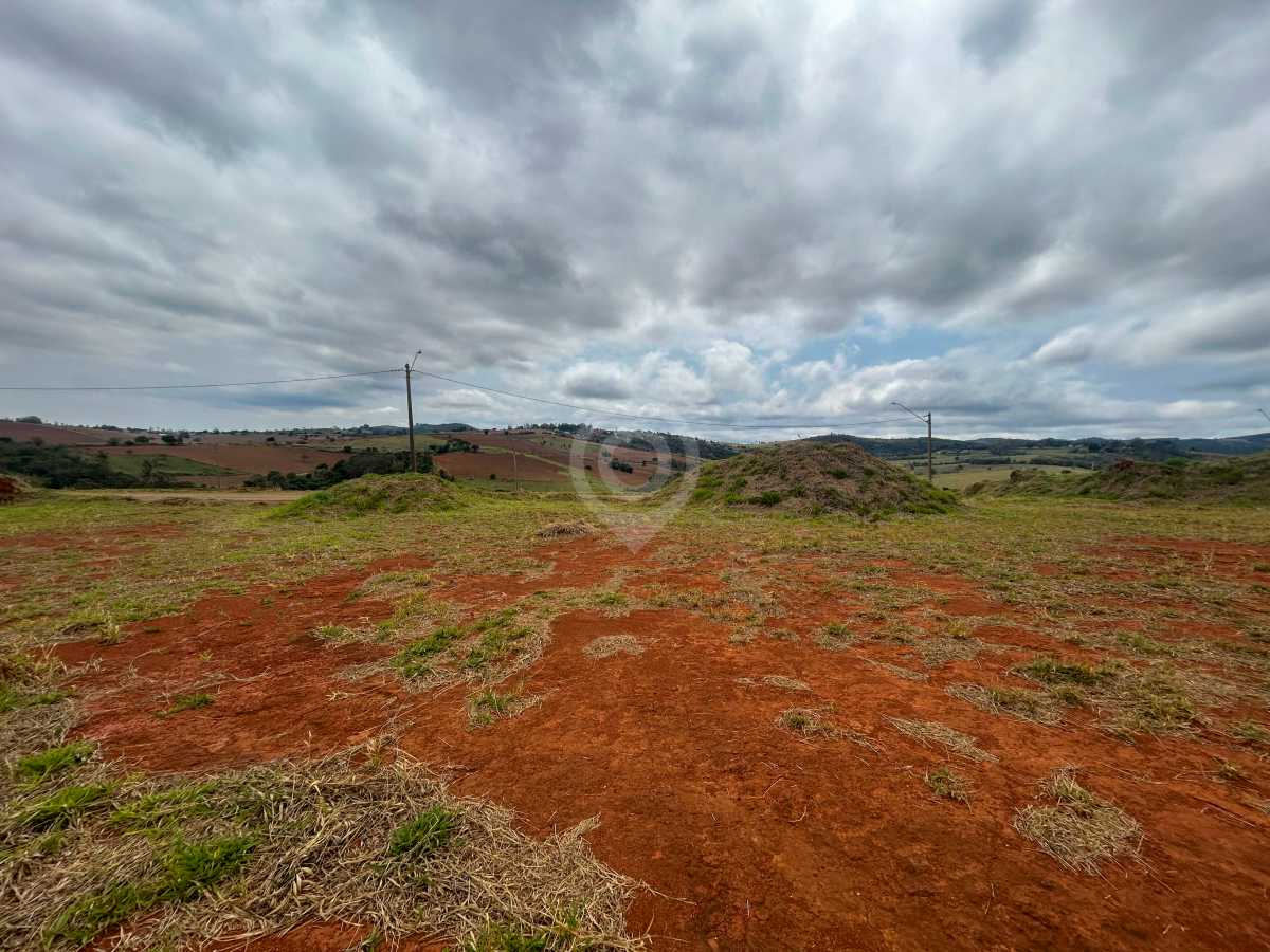 WhatsApp Image 2025-10-08 at 1 - 6