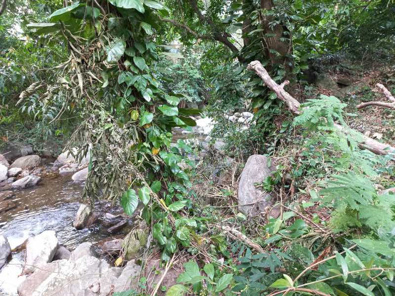 Conheça 2 do imóvel - Terreno Unifamiliar à venda Fazenda Muriqui, Mangaratiba - R$ 180.000 - FMA7 - 12 2 - 12