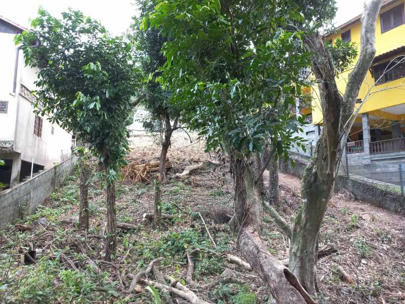 Conheça 7 do imóvel - Terreno Unifamiliar à venda Fazenda Muriqui, Mangaratiba - R$ 180.000 - FMA7 - 6 7 - 6