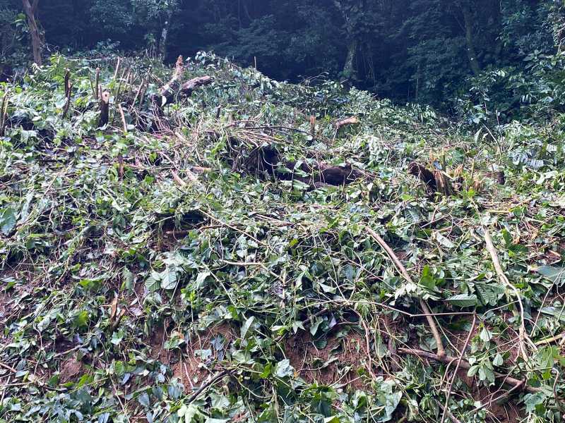 Conheça Terreno do imóvel - Terreno Unifamiliar à venda Fazenda Muriqui, Mangaratiba - R$ 255.000 - FMB51 - 5 Terreno - 5