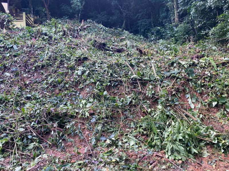 Conheça Terreno do imóvel - Terreno Unifamiliar à venda Fazenda Muriqui, Mangaratiba - R$ 255.000 - FMB51 - 6 Terreno - 6