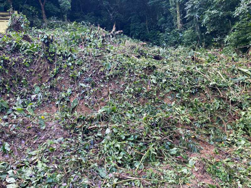Conheça Terreno do imóvel - Terreno Unifamiliar à venda Fazenda Muriqui, Mangaratiba - R$ 255.000 - FMB51 - 7 Terreno - 7