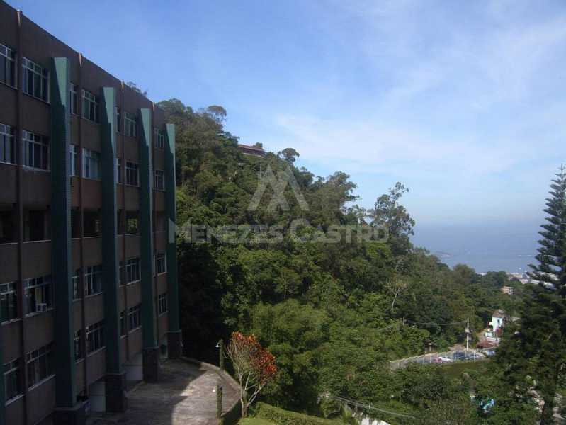 IMG-7026 - 4