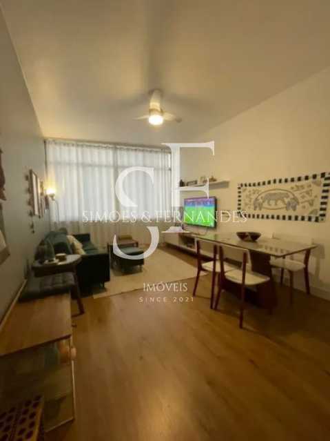 BTAP31543_RuaHaddockLobo_03. - 3