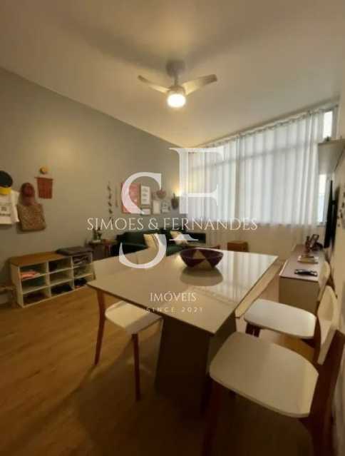 BTAP31543_RuaHaddockLobo_17. - 17