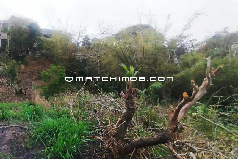 Conheça Joatinga do imóvel - Terreno à venda na Joatinga com vista mar - 729TE - 10 Joatinga - 10