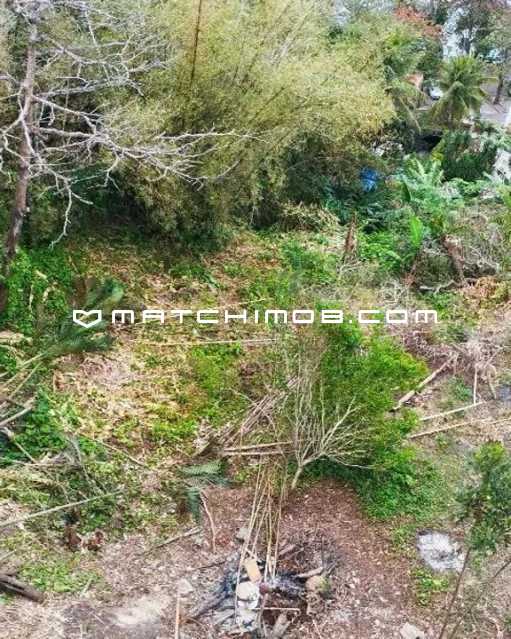 Conheça Joatinga do imóvel - Terreno à venda na Joatinga com vista mar - 729TE - 12 Joatinga - 12