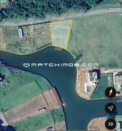 Portobello - 1 Portobello - 1