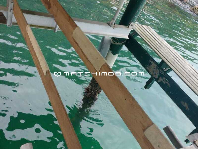 Conheça Ilha do imóvel - Ilha à venda em Mangaratiba - 757CA - 20 Ilha - 20