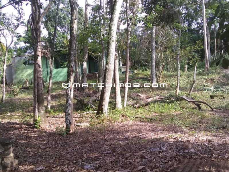 Conheça Ilha do imóvel - Ilha à venda em Mangaratiba - 757CA - 22 Ilha - 22