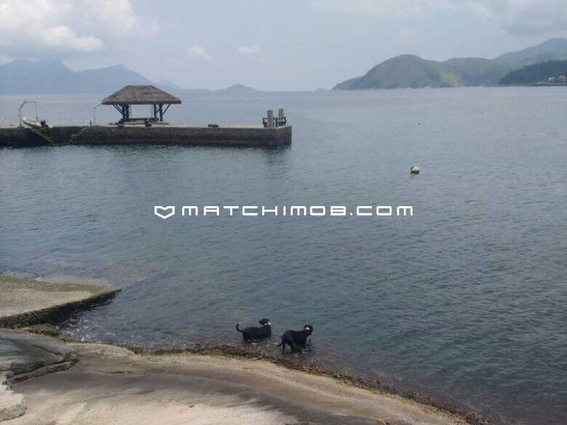 Conheça Ilha do imóvel - Ilha à venda em Mangaratiba - 757CA - 23 Ilha - 23