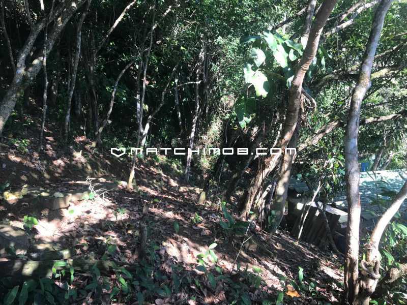 Conheça Ilha do imóvel - Ilha à venda em Mangaratiba - 757CA - 25 Ilha - 25