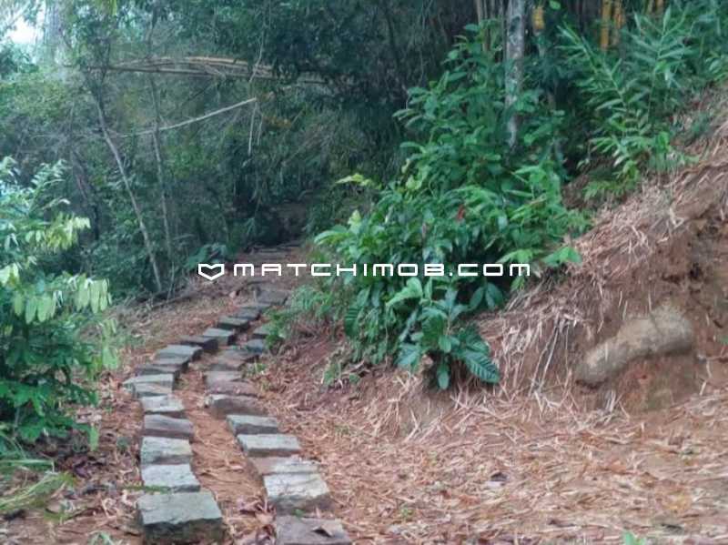 Conheça Ilha do imóvel - Ilha à venda em Mangaratiba - 757CA - 26 Ilha - 26