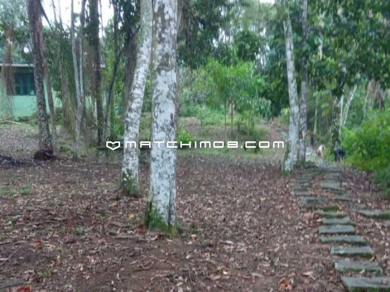 Conheça Ilha do imóvel - Ilha à venda em Mangaratiba - 757CA - 27 Ilha - 27