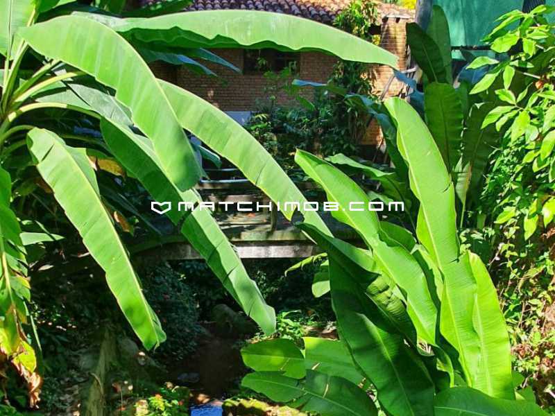 Portal Verde Mar - 13