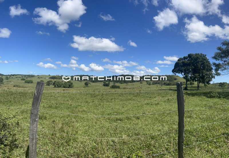 Fazenda Perobas - 3