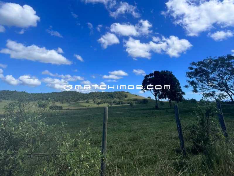 Fazenda Perobas - 5