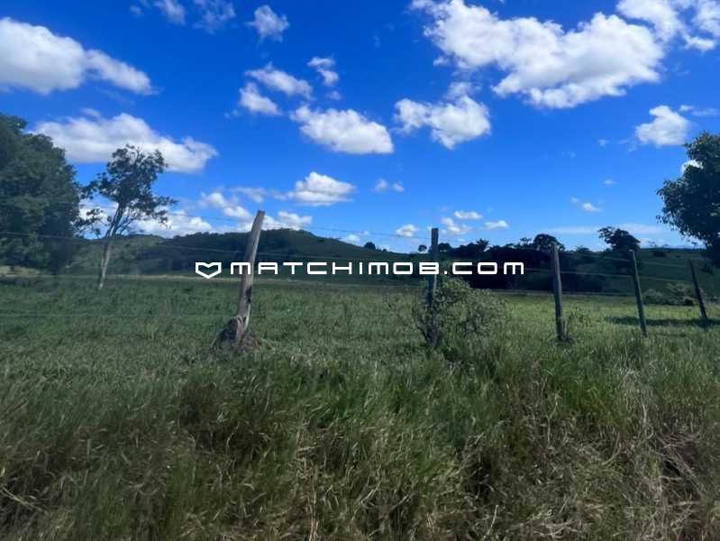 Fazenda Perobas - 7