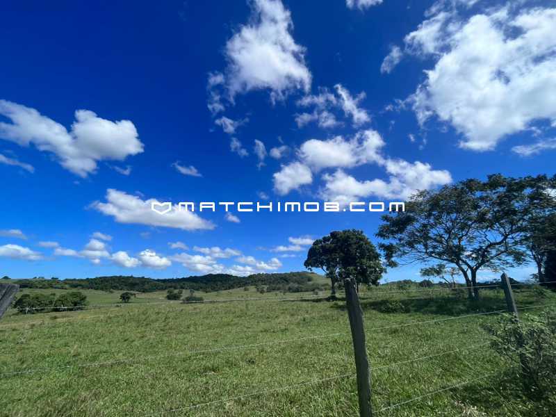 Fazenda Perobas - 13