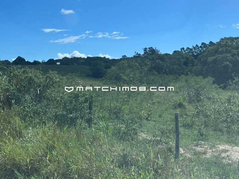 Fazenda Perobas - 16