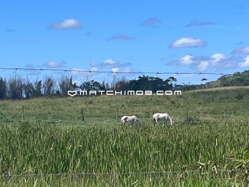 Fazenda Perobas - 6