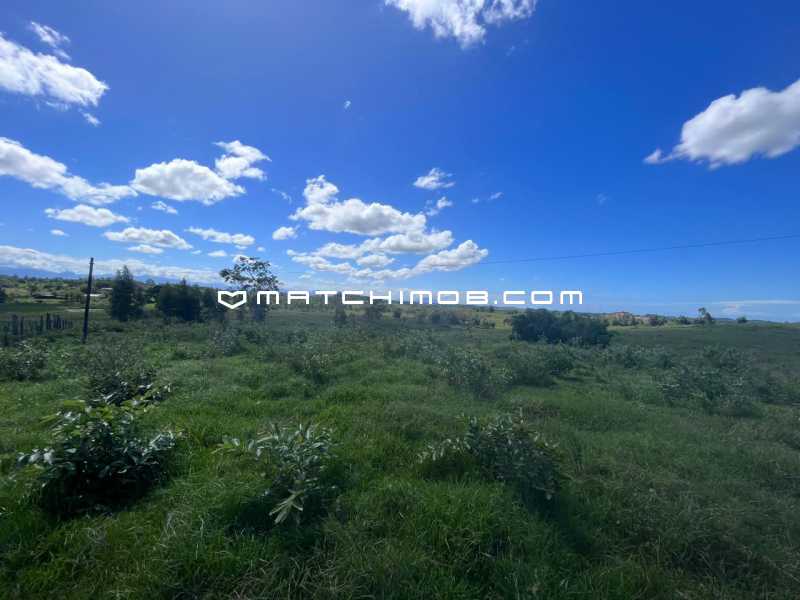 Fazenda Perobas - 18