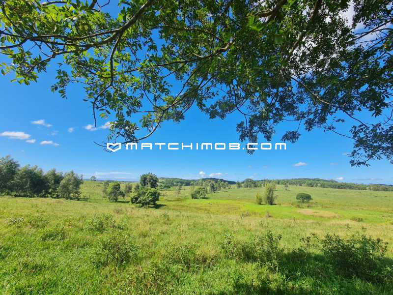 Fazenda Perobas - 19