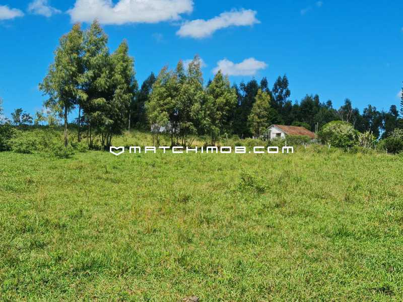 Fazenda Perobas - 20